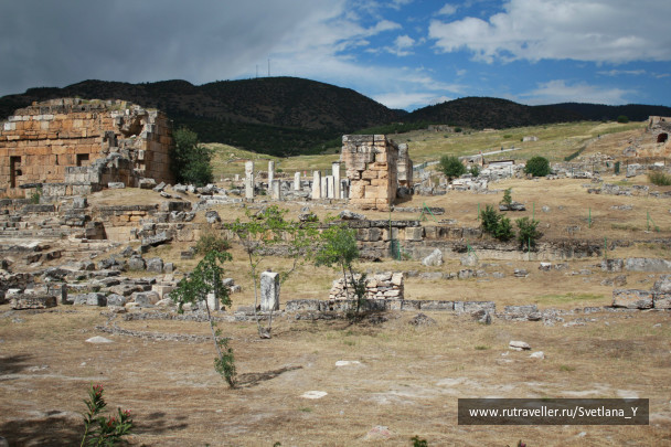photo 423239