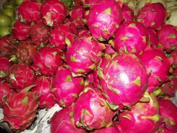 photo 207246