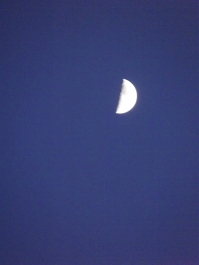 photo 207254