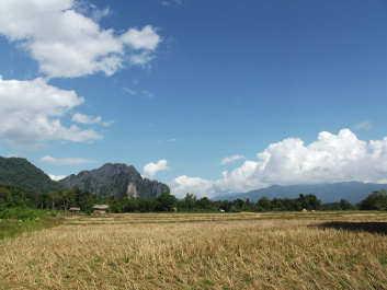 photo 207469
