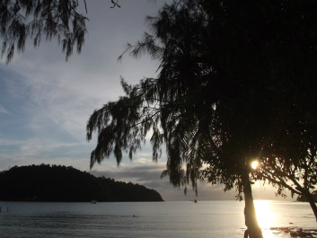 photo 207273