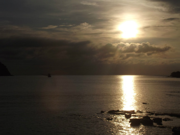 photo 207274