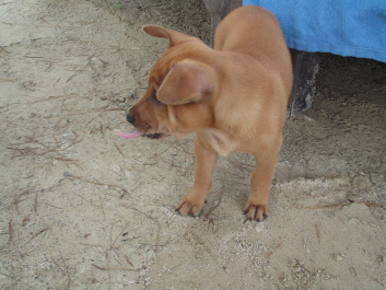 photo 207280
