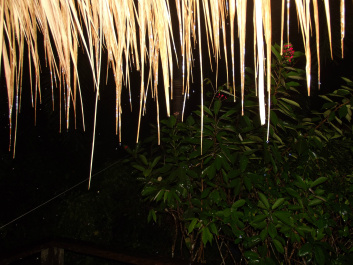 photo 207282