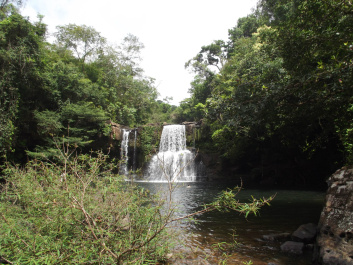 photo 207288