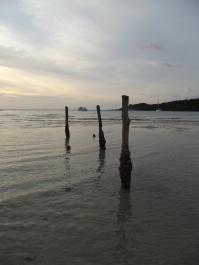 photo 207310