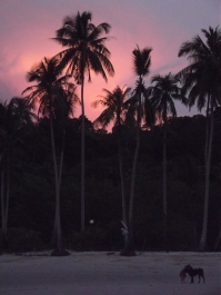 photo 207307