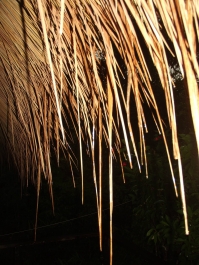 photo 207292