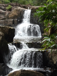 photo 207286