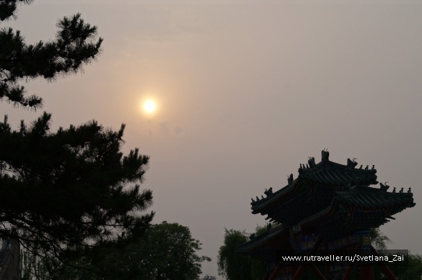 photo 1306165