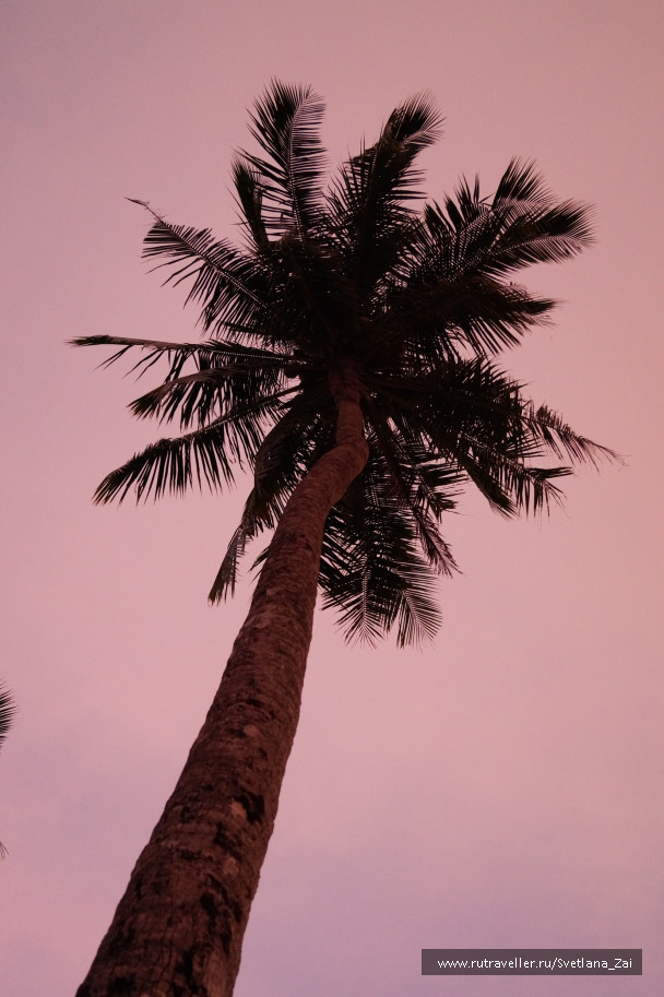 photo 1422717