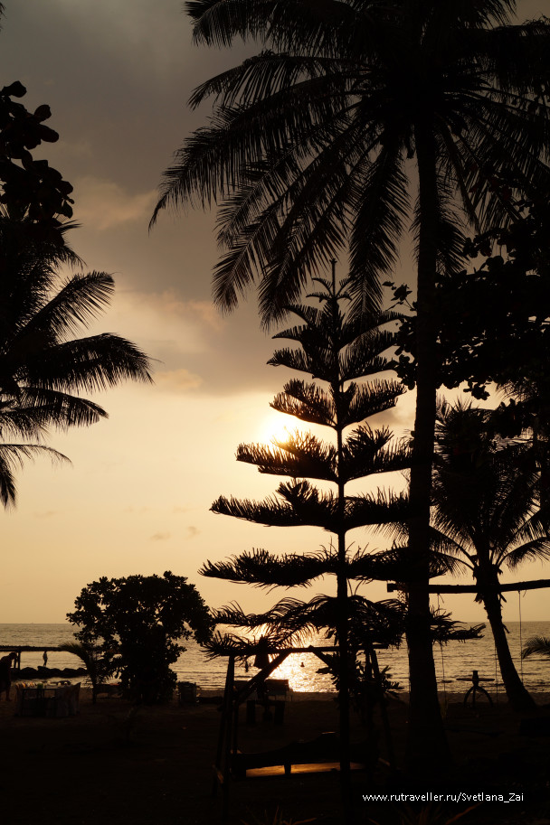 photo 1527276
