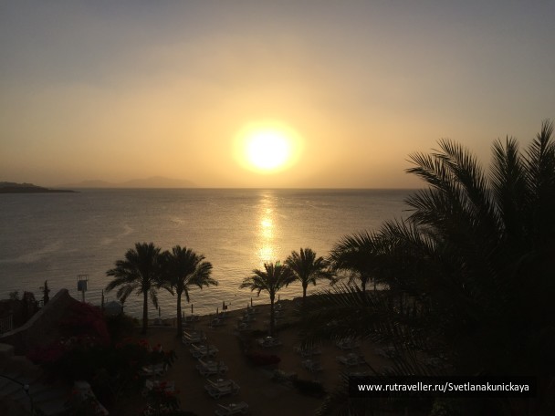 photo 1459252