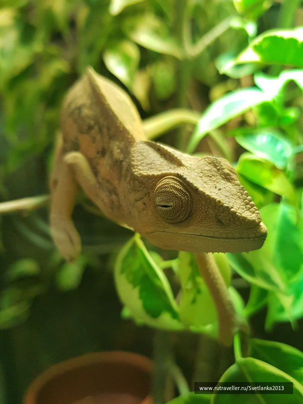 photo 1641423