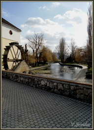 photo 371525