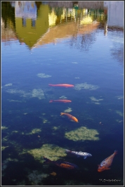 photo 758911