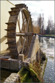 photo 881404