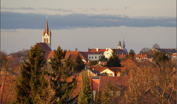 _DSC4600