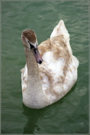photo 757360