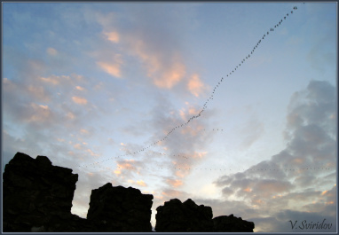 photo 372394