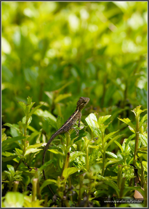 photo 496384