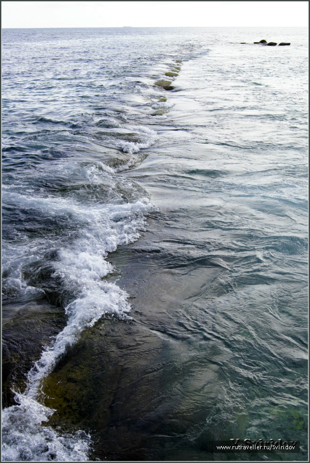 photo 553851