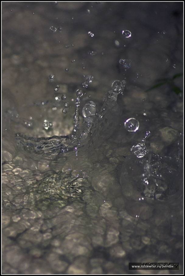 photo 972575