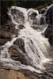 photo 1224348