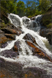 photo 1235731