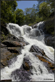 photo 413455