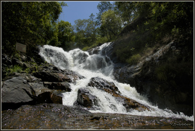 photo 427727