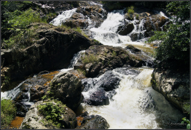 photo 499415