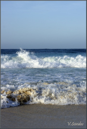 photo 495432