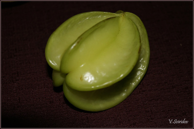 photo 449665