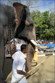 photo 469897