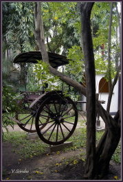 photo 497444