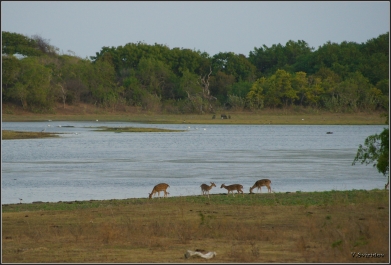 photo 740642