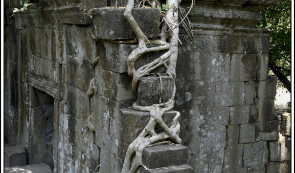 Сиемриеп. Дальний храм Бенг Меалеа (Beng Mealea).