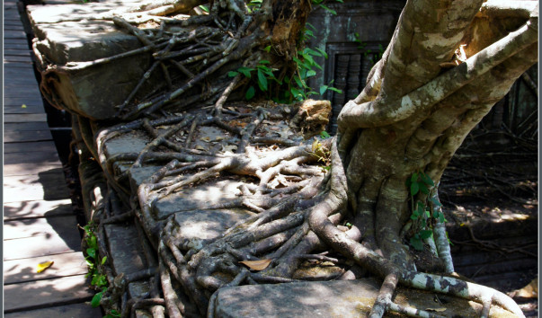 Храм Бенг Меалеа (Beng Mealea).