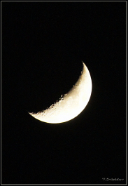 photo 591035