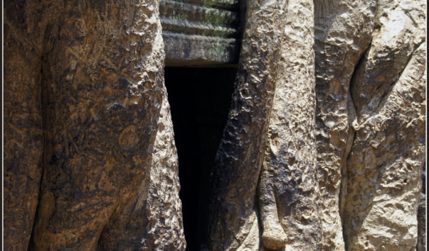 Храм Та Пром (Ta Prohm).