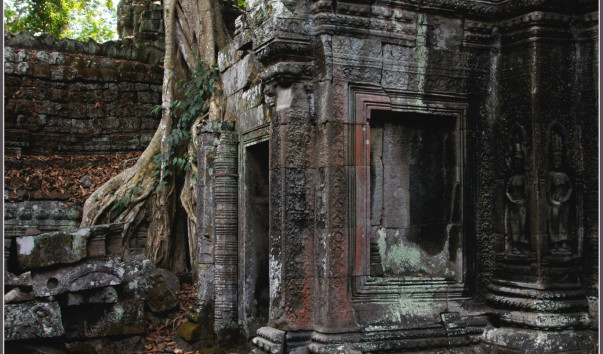 Храм Та Пром (Ta Prohm).