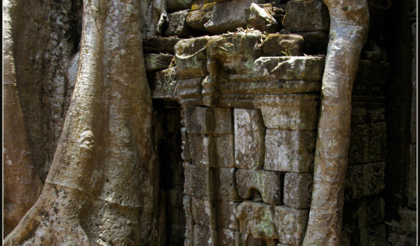 Храм Ta Prohm.