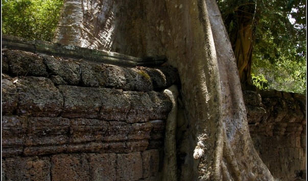 Храм Та Пром (Ta Prohm).