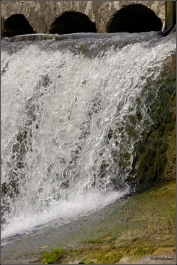 photo 816220