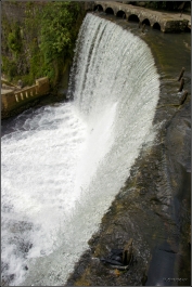 photo 816342