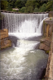 photo 816577