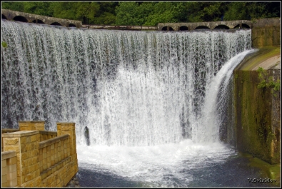 photo 874813