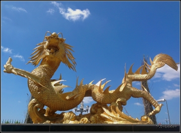 photo 954262