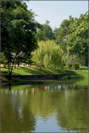 photo 962569